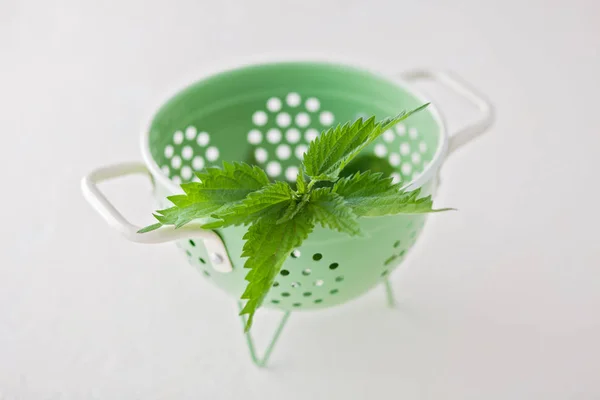 Fresh Nettle Leaves Green Colander White Background Healthcare Medical Concept — Stock Photo, Image