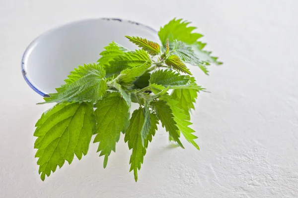 Fresh Green Nettle Leaves Metal Cup White Background — Stock Photo, Image