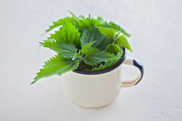 Fresh Green Nettle Leaves Metal Cup White Background — Stock Photo, Image