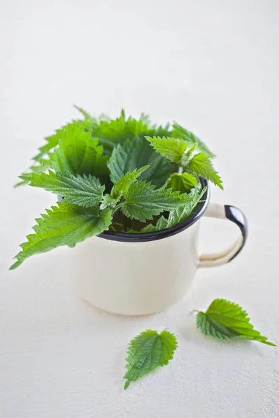 Fresh Green Nettle Leaves Metal Cup White Background — Stock Photo, Image