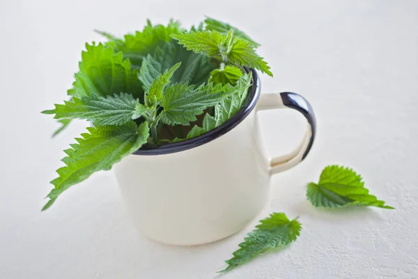 Fresh Green Nettle Leaves Metal Cup White Background — Stock Photo, Image