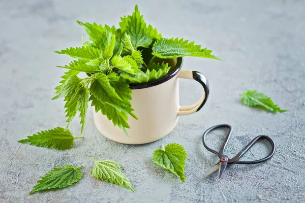 Fresh Nettle Urtica Ready Use Alternaticve Medicine — Stock Photo, Image