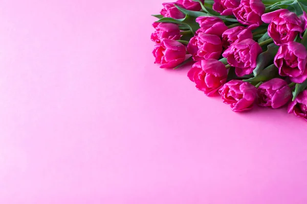 Mooie Roze Tulpen Roze Achtergrond Bloemen Nad Planten — Stockfoto