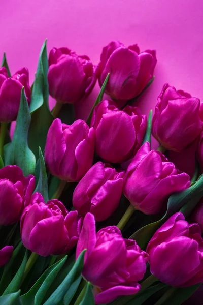 Schöne Rosa Tulpen Auf Rosa Hintergrund Blumen Und Pflanzen — Stockfoto