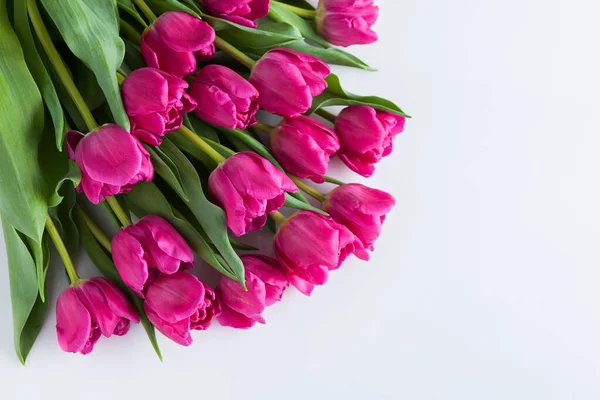 Mooie Roze Tulpen Roze Achtergrond Bloemen Nad Planten — Stockfoto