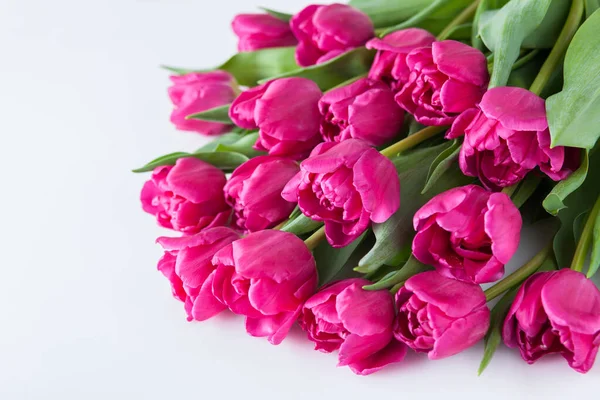 Mooie Roze Tulpen Roze Achtergrond Bloemen Nad Planten — Stockfoto