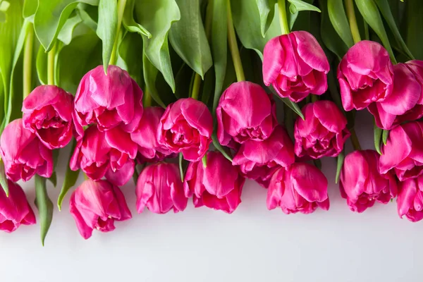 Mooie Roze Tulpen Roze Achtergrond Bloemen Nad Planten — Stockfoto