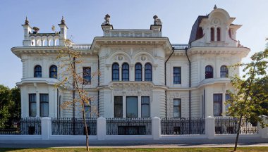 Tambov, Rusya - 14 Temmuz 2016: Aseev Mansion.