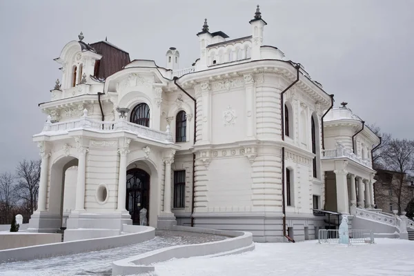 Tambov, Russia - January 4 2017: The Aseev Mansion. — Stock Photo, Image