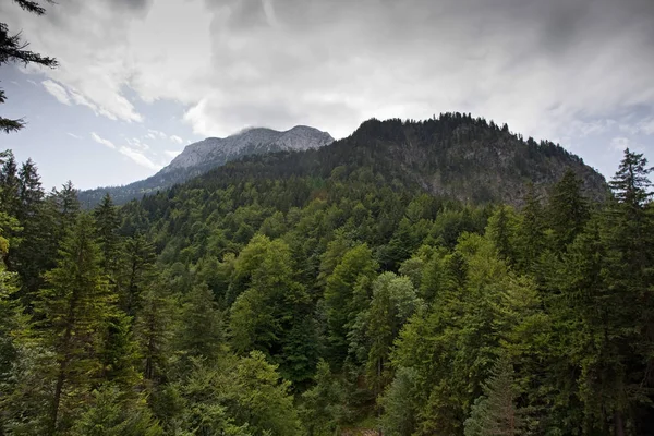 summer horizontal landscape, foothills of the alps covered with forest. Germany