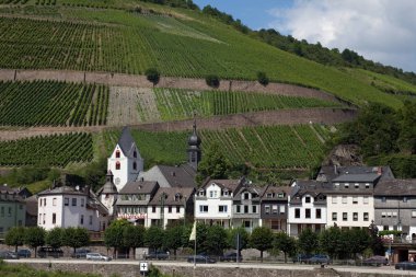 Germany  - July 3, 2012: Rhine Valley architecture and vineyards on the high banks of the river