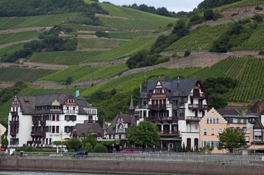 Germany  - July 3, 2012: Rhine Valley architecture and vineyards on the high banks of the river