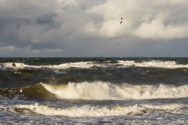 Fırtına akşam okyanus kıyısında.