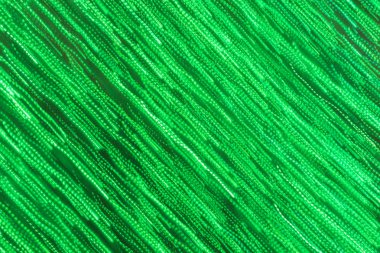 odak yeşil arka plan