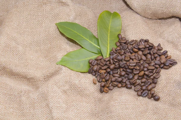 Granos de café árabe en una bolsa de arpillera —  Fotos de Stock