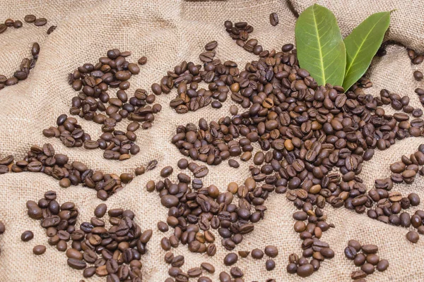 Granos de café árabe en una bolsa de arpillera —  Fotos de Stock