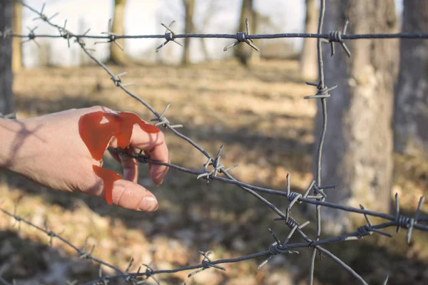 Femmes main tenant barbelé clôture de fil pour la captivité émotionnelle et veut indépendant — Photo
