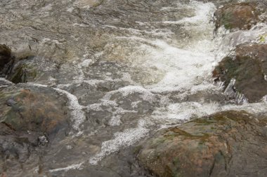 Bir serin ve kayalık dağ dere.