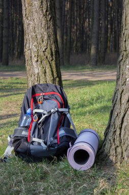 su yeşil kavanoz ile ormanda ağır sırt çantası trekking.