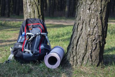 su yeşil kavanoz ile ormanda ağır sırt çantası trekking.