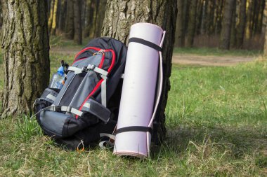 su yeşil kavanoz ile ormanda ağır sırt çantası trekking.