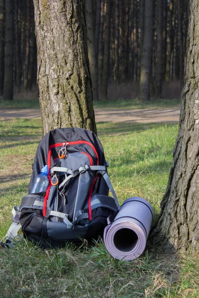Trekking heavy backpack in forest with green jars of water. Stock Image