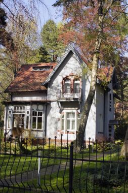 Ormandaki eski ahşap ev