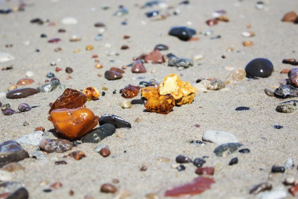 Some pieces of amber found on the Baltic seashore — Stock Photo, Image