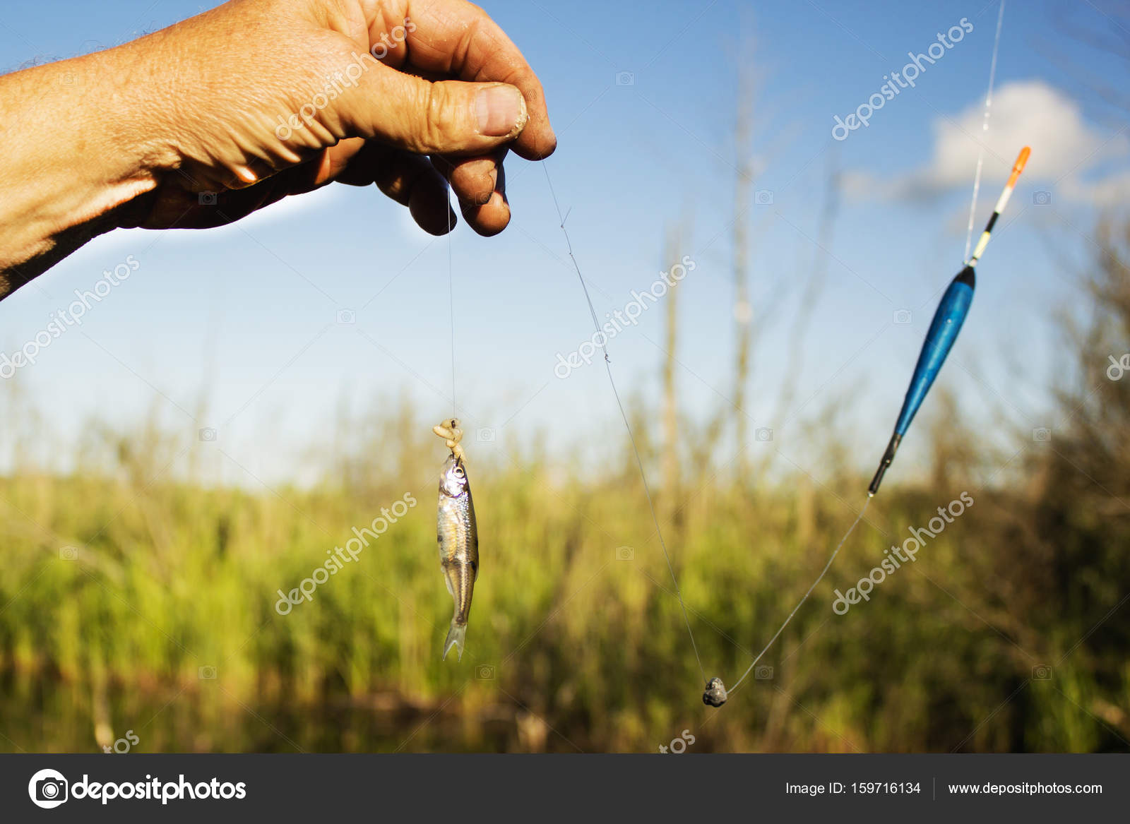 Small fish placed on the hook as bait. Stock Photo by ©mihail39