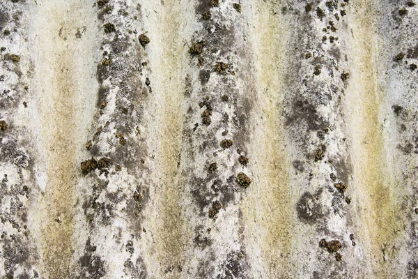 Muro muro de piedra con grietas de gris — Foto de Stock