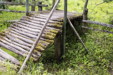 Ormandaki eski ahşap köprü,