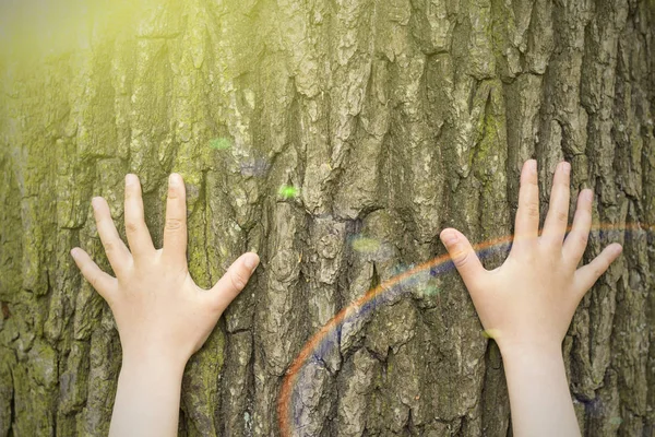 Childs hands hugging a tree.