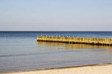 Kumsaldaki Mavi Okyanus Dalgası. Geçmişi. Seçici odak.