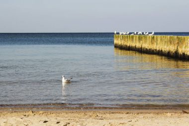 Kumsaldaki Mavi Okyanus Dalgası. Geçmişi. Seçici odak.