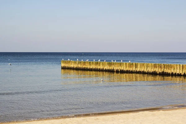Kumsaldaki Mavi Okyanus Dalgası. Geçmişi. Seçici odak.
