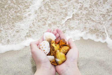 Amber. Üç benzersiz şeffaf parça denize avuç amber. Sunstone sahilde doğal bir mineral olarak. Amber glitter elinde. Dalga farklı formlarının üç amber.