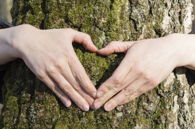 Çift kalp şeklinde ağaç üzerinde ellerini koyarak