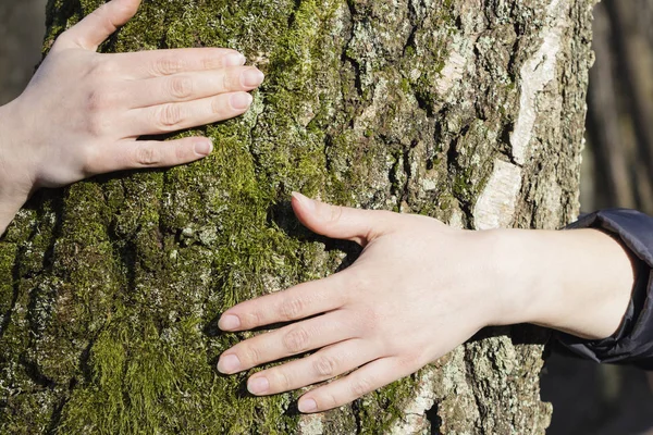 Muži Ženy Rukama Objímala Strom — Stock fotografie