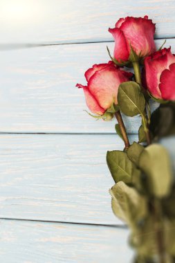 Ahşap masa üzerinde kırmızı Güllü romantik arka plan.