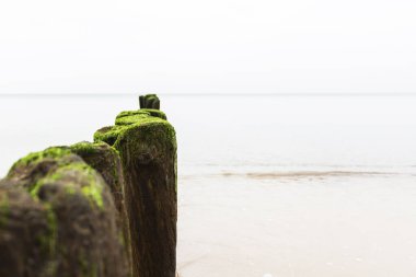 sakin ve güzel bir denizin üzerindeki dalgakıran