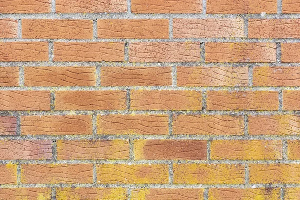 Brick wall. Laying bricks on mortar. The texture of the brickwork.