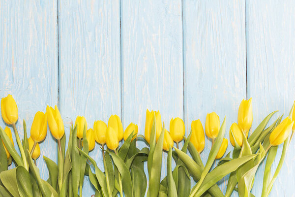 Yellow tulips on a light blue wooden background