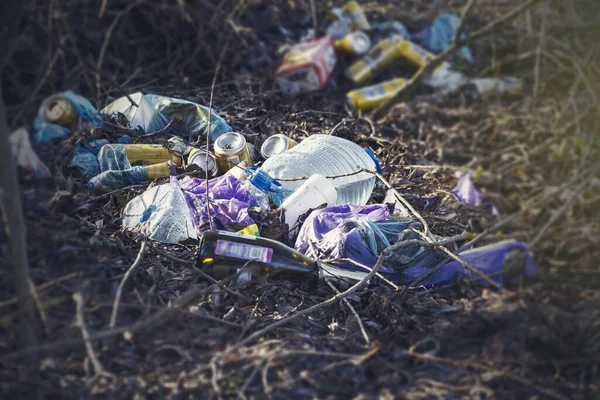Szemét Erdőben Erdő Szennyezése Műanyaggal Üvegekkel — Stock Fotó