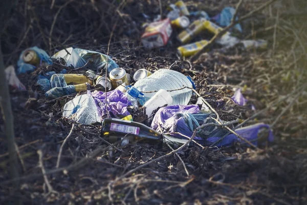 Basura Bosque Contaminación Del Bosque Con Plástico Botellas — Foto de Stock