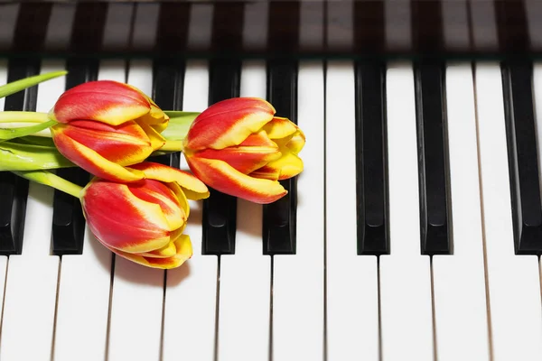Tulips Piano Concept Romantic Music Melodies Royalty Free Stock Images