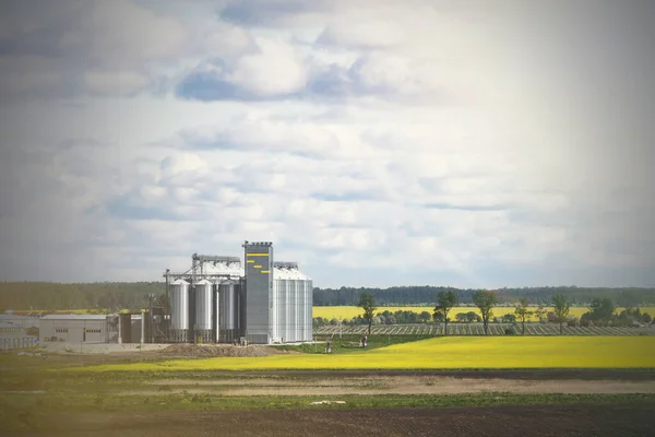 Rapsblütenfeld Anlage Zur Reinigung Und Lagerung Landwirtschaftlicher Produkte Mehl Getreide — Stockfoto