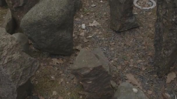 里加林伦犹太墓碑高角 — 图库视频影像