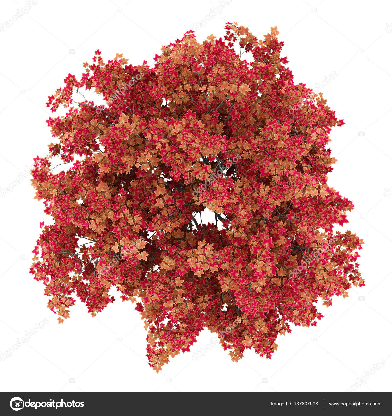 epub Herpesvirus DNA: