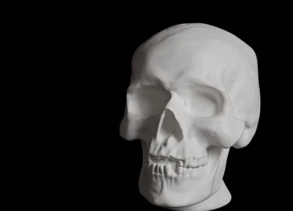 Белый гипсовый человеческий череп на черном фоне — стоковое фото
