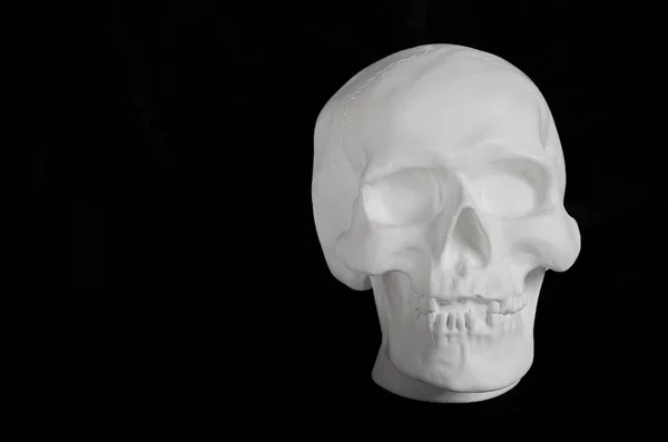 Cráneo humano de yeso blanco sobre un fondo negro — Foto de Stock